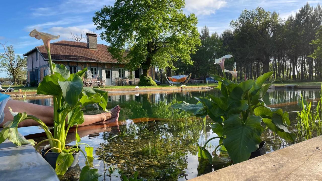 Maison Magnolia Onesse-et-Laharie ภายนอก รูปภาพ