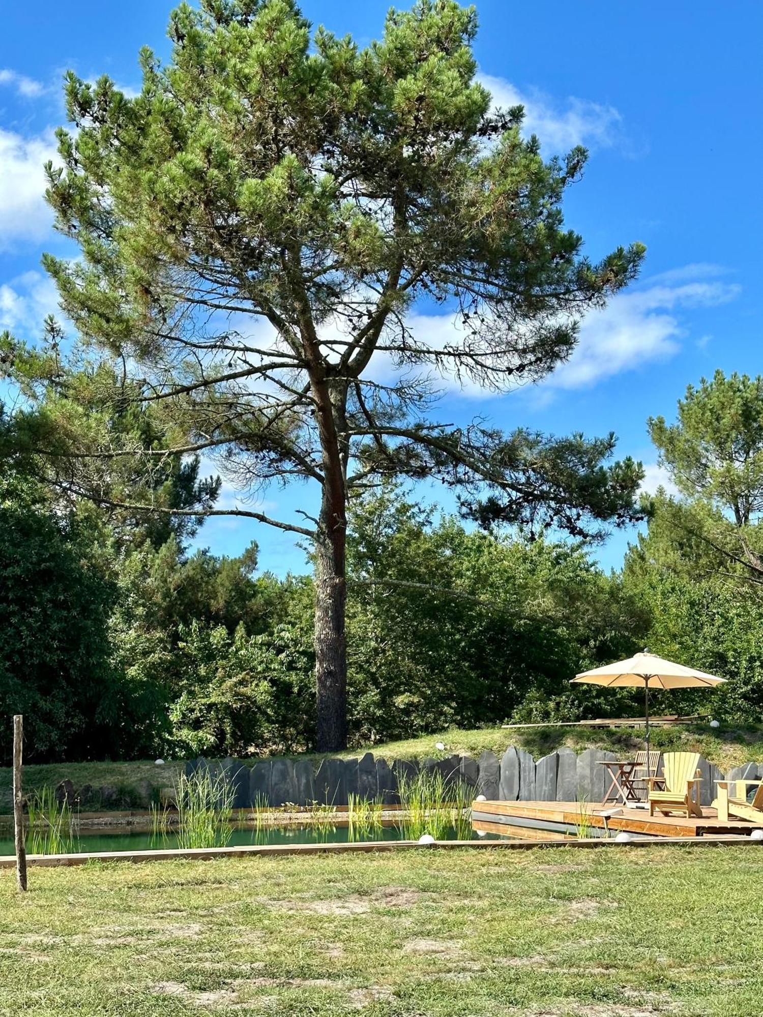 Maison Magnolia Onesse-et-Laharie ภายนอก รูปภาพ